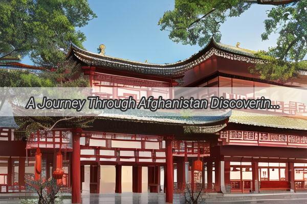 A Journey Through Afghanistan Discovering the Hidden Gems of Chinese Expats Across the Land